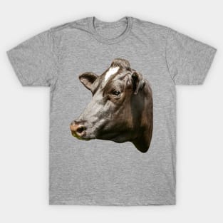 Friesian cow portrait T-Shirt